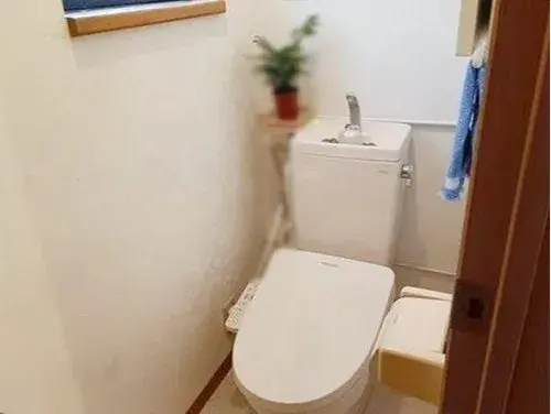 3LDK Property Kochi City Kochi Prefecture (8)