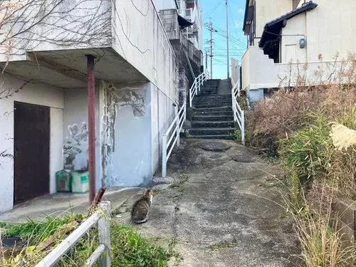 4LDK物件 北九州市 福岡県 (4)