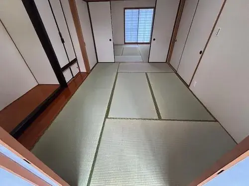 Slide 5