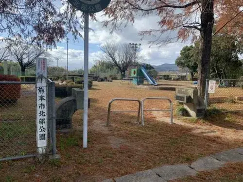6DK 熊本市 熊本県 (20)