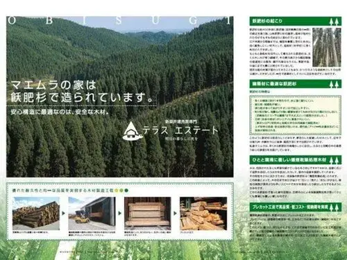 Slide 11