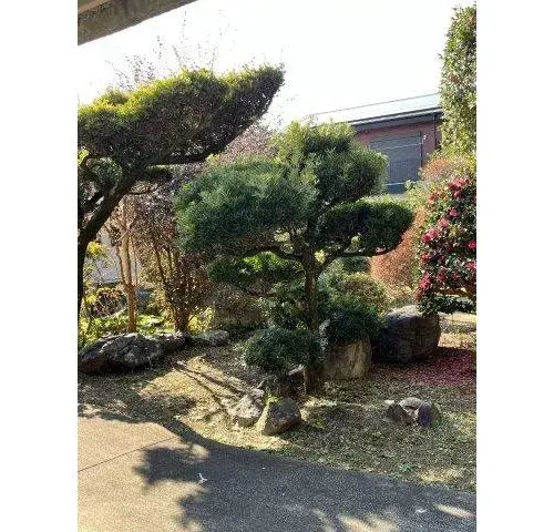 5LDK Property Miyazaki City Miyazaki Prefecture (4)