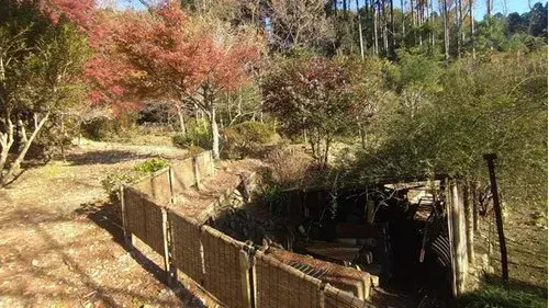 Propriété 2DK Kunitomi-cho Préfecture de Miyazaki (11)