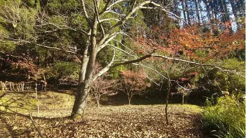Propriété 2DK Kunitomi-cho Préfecture de Miyazaki (12)