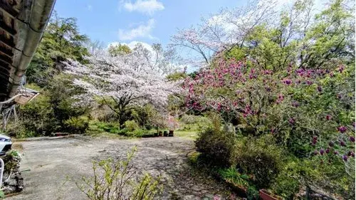 Propriété 2DK Kunitomi-cho Préfecture de Miyazaki (14)