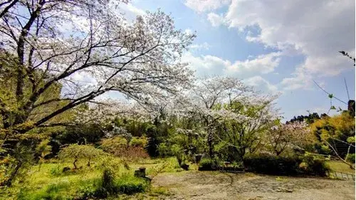 Propriété 2DK Kunitomi-cho Préfecture de Miyazaki (15)