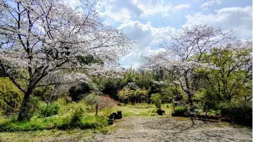 Propriété 2DK Kunitomi-cho Préfecture de Miyazaki (16)