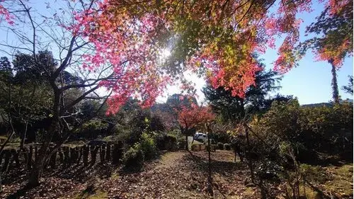 Propriété 2DK Kunitomi-cho Préfecture de Miyazaki (10)