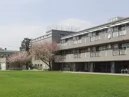 Slide 3
