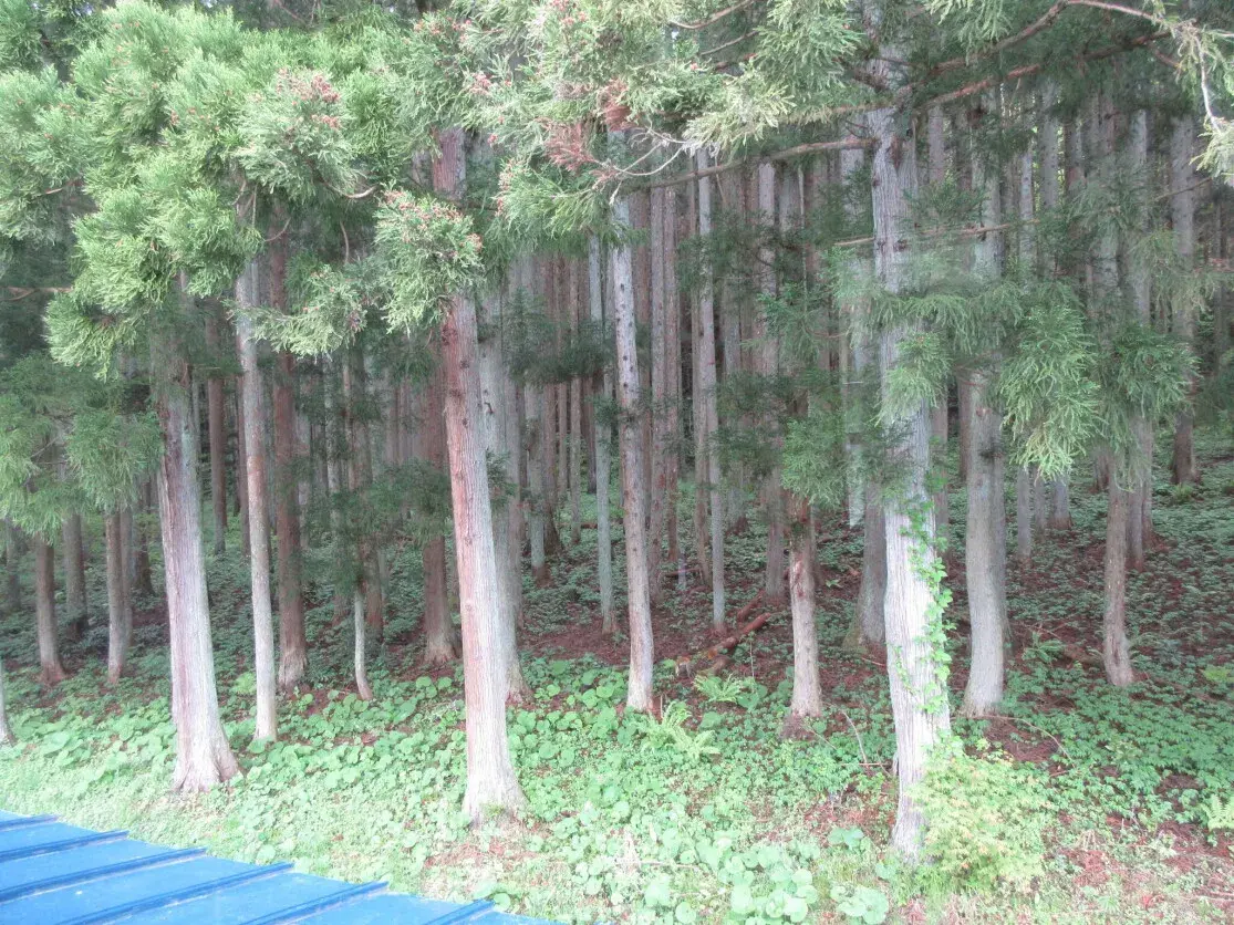 Iwate Prefecture Hanamaki City 8DK Property (14)
