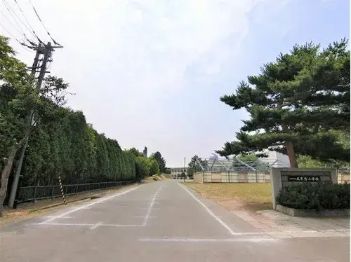 5LDK Ville d'Ebetsu Hokkaido (17)
