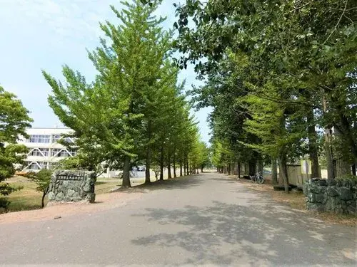 5LDK Ville d'Ebetsu Hokkaido (18)