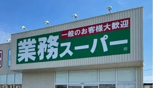 3LDK+S Sapporo City Hokkaido (3)