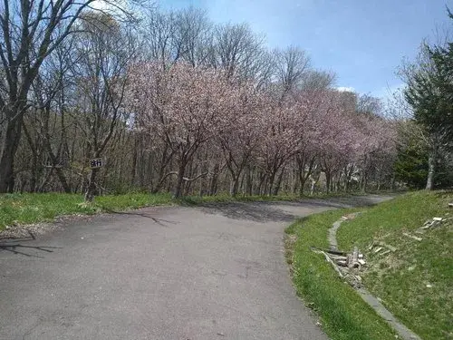 3LDK Ishikari City Hokkaido (16)