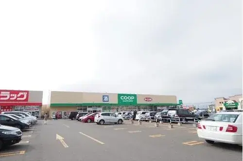 3LDK+S Sapporo City Hokkaido Property (18)