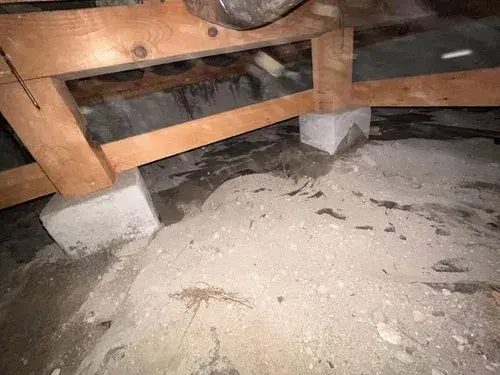 四室两厅一厨加储藏室 青森县弘前市房源 (13)