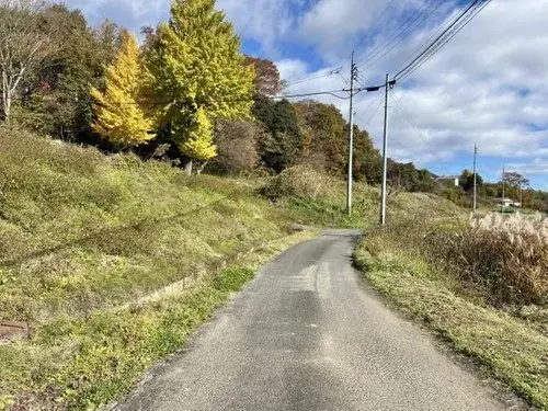 Slide 6