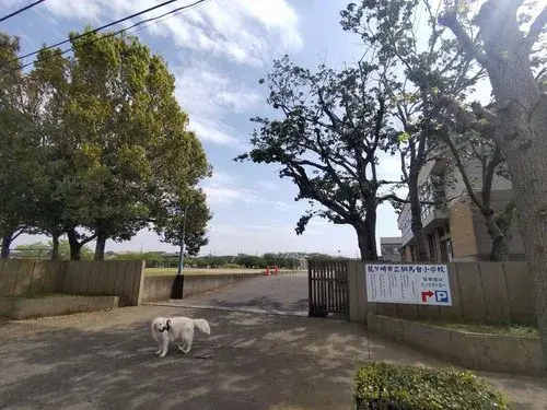 عقار 4LDK مدينة Ryugasaki محافظة Ibaraki (19)