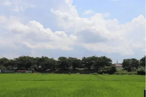 4LDK Property Tsuchiura City Ibaraki Prefecture (20)