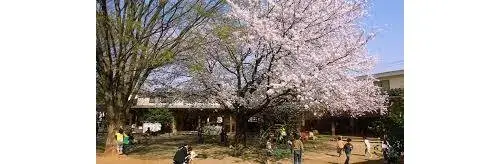 4LDK Property Higashimatsuyama City Saitama Prefecture (18)