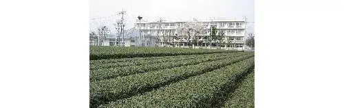 3LDK物件 所沢市 埼玉県 (19)