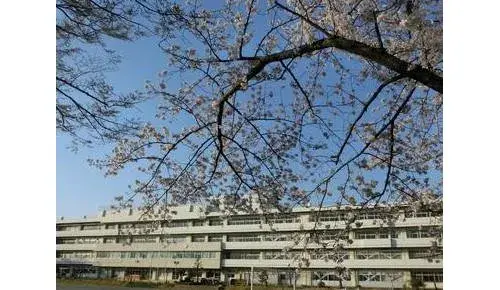 Slide 4