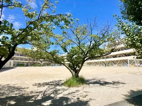 [4LDK Property] Ichikawa City, Chiba Prefecture (13)