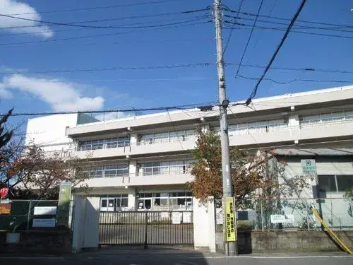 Slide 13