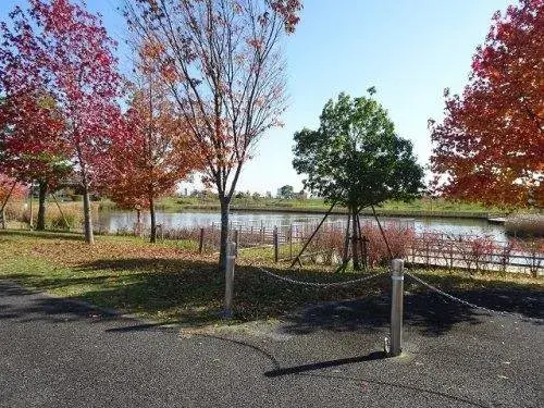 7LDK+S Property Ichihara City Chiba Prefecture (8)