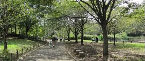 四室一厅带服务间 世田谷区 东京都 (36)