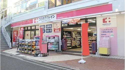 9LDK+S Property Setagaya-ku Tokyo (13)