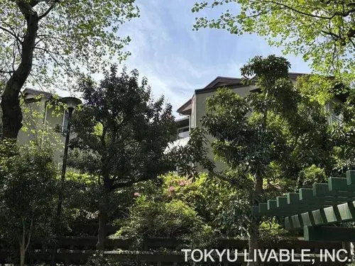 7LLDDKK+S Недвижимость в Suginami-ku, Tokyo (2)