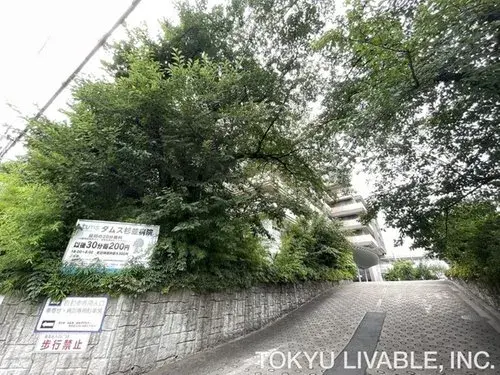 7LLDDKK+S Недвижимость в Suginami-ku, Tokyo (17)