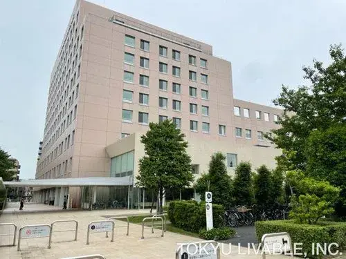 7LLDDKK+S Недвижимость в Suginami-ku, Tokyo (18)
