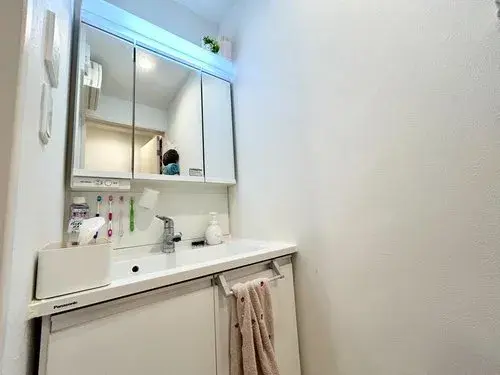 3LDK Property Kokubunji City Tokyo (19)