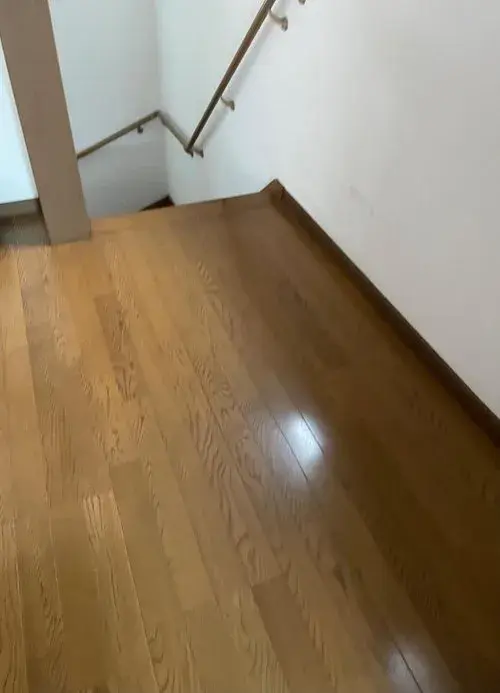 2LDK Property Edogawa-ku Tokyo (6)