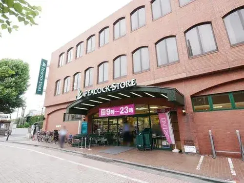 3LDK Suginami-ku Tokyo (16)