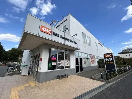 3LDK Suginami-ku Tokyo (17)