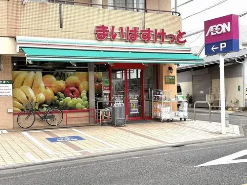 4LLDDKK+S Suginami-ku Tokyo (13)