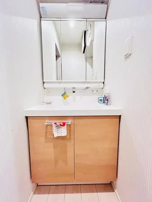2LDK+S Property Sumida Ward Tokyo (15)