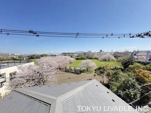 [3LDK Property] Kawasaki City Kanagawa Prefecture (19)