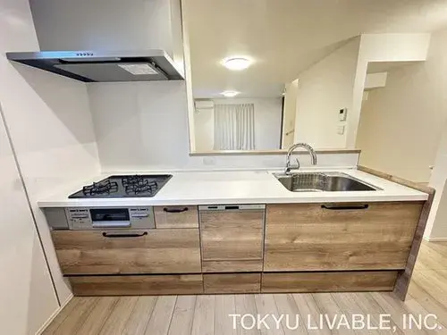 3LDK+S 横浜市 神奈川県 (14)