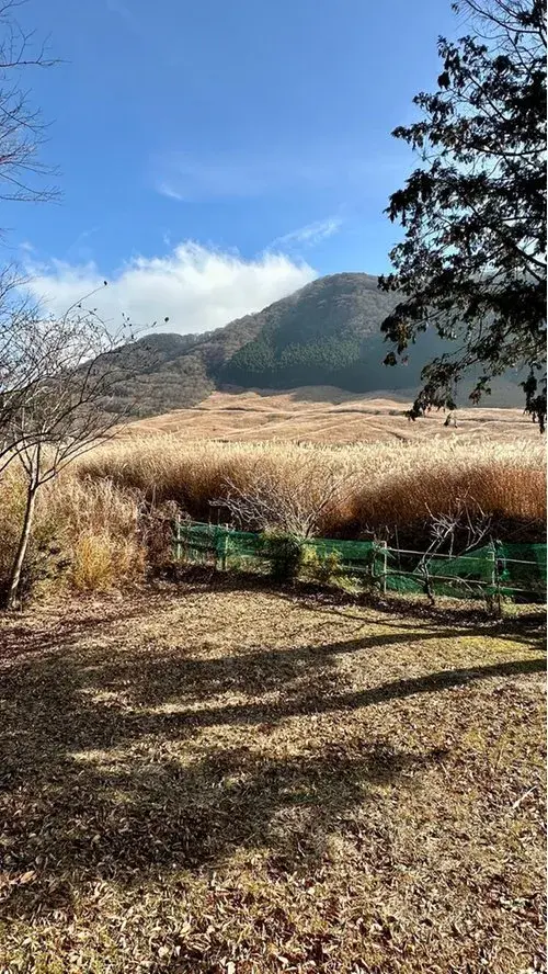 7LDK+S Property Hakone-machi Kanagawa Prefecture (11)