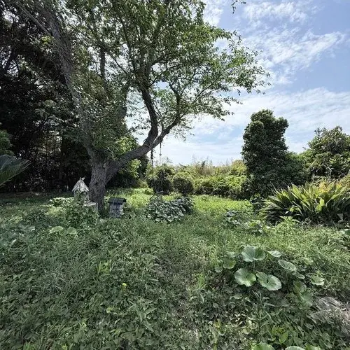 3LLDDKK+2S Propriété Ville de Miura Préfecture de Kanagawa (23)