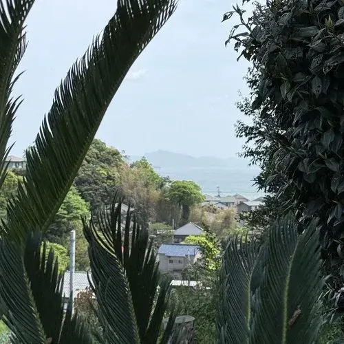 3LLDDKK+2S Propriété Ville de Miura Préfecture de Kanagawa (24)