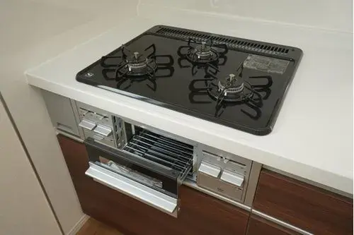 3LDK+S物件 新潟市 新潟県 (14)