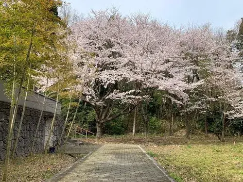 5DK+S物件 新潟市西蒲区 新潟県 (19)