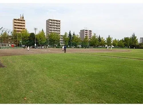 Slide 17