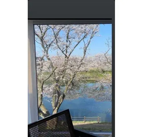 3LDK+S Property Toyama City Toyama Prefecture (16)