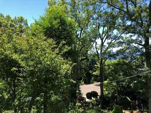 2LDK物件 函南町 静岡県 (14)